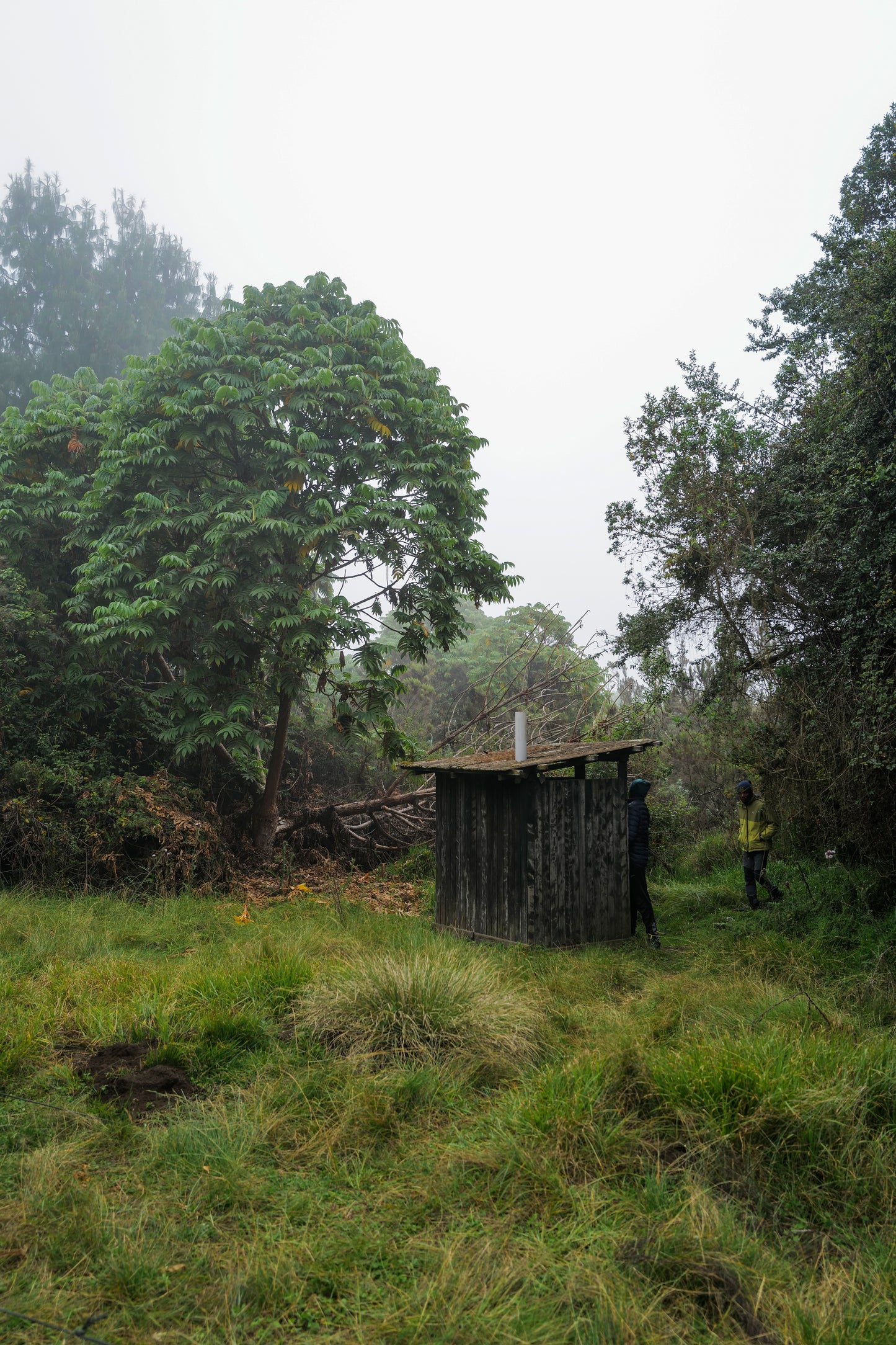 Omar Al Gurg, Everyman's Mountain: Lower Slopes – 004, 2021
